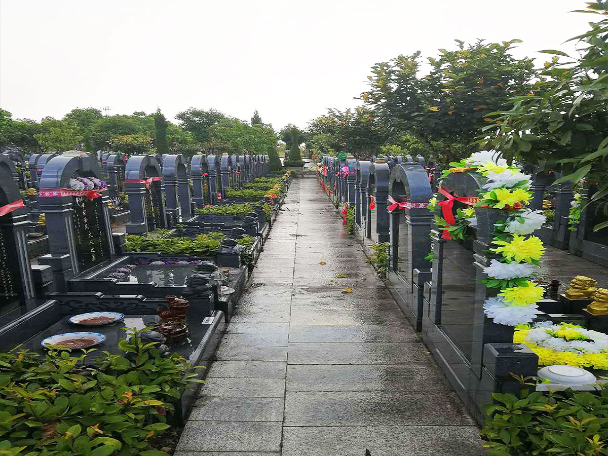 墓区环境