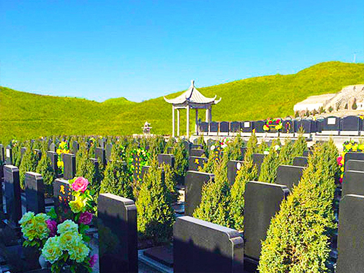 墓区图片