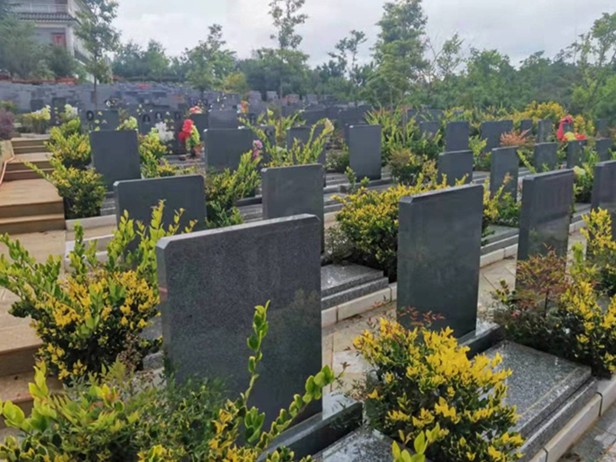 墓区图片