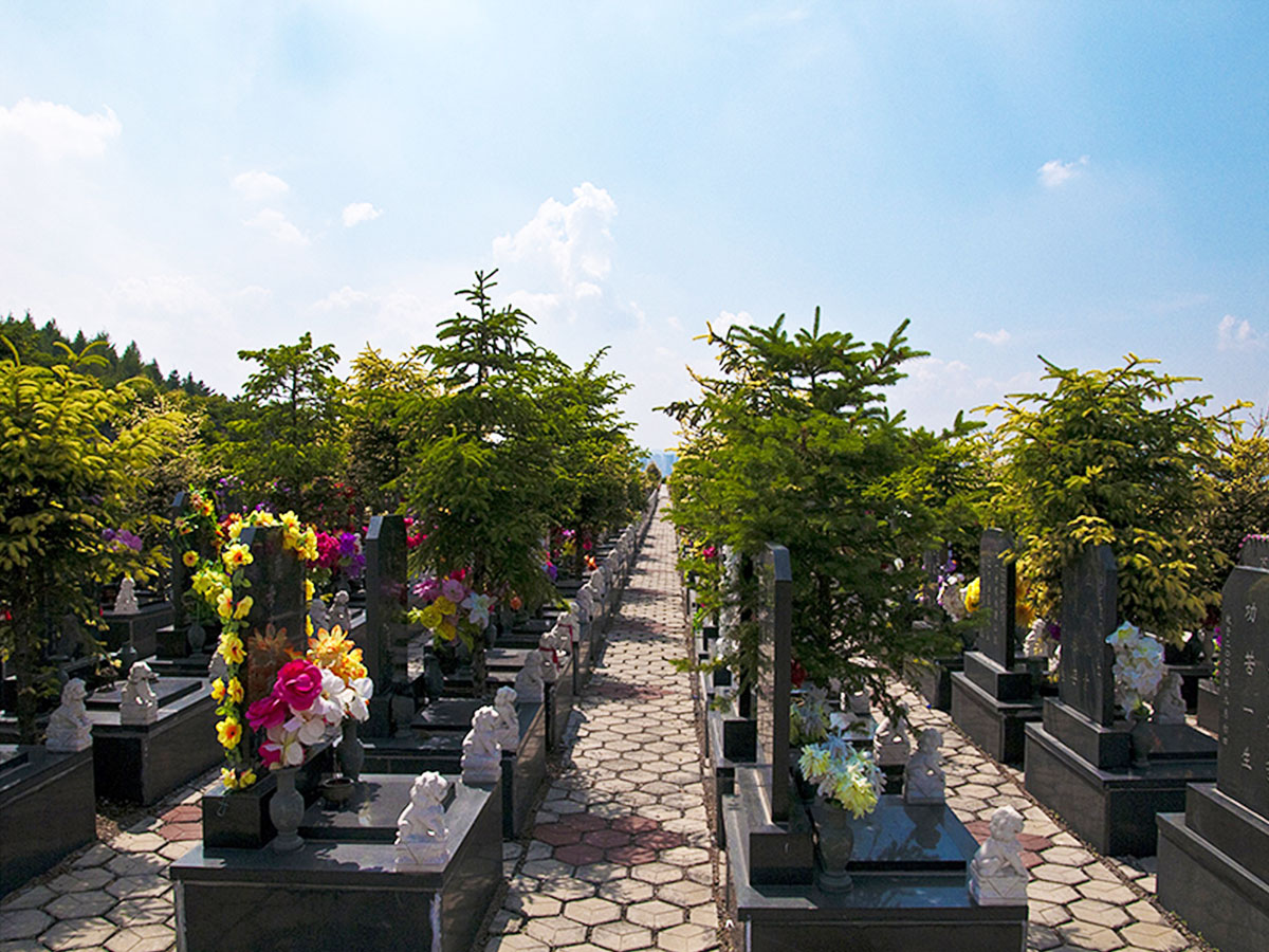 墓区环境