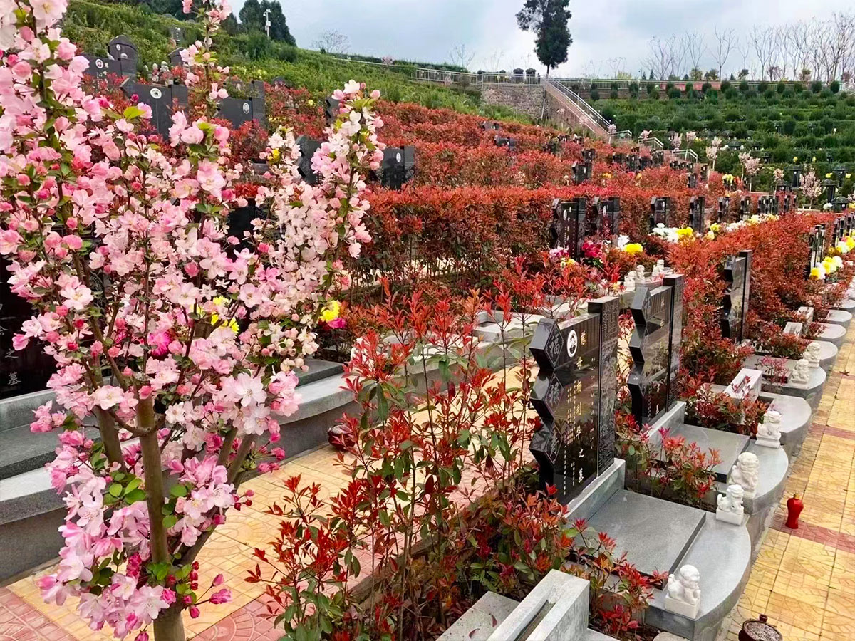 墓区花草