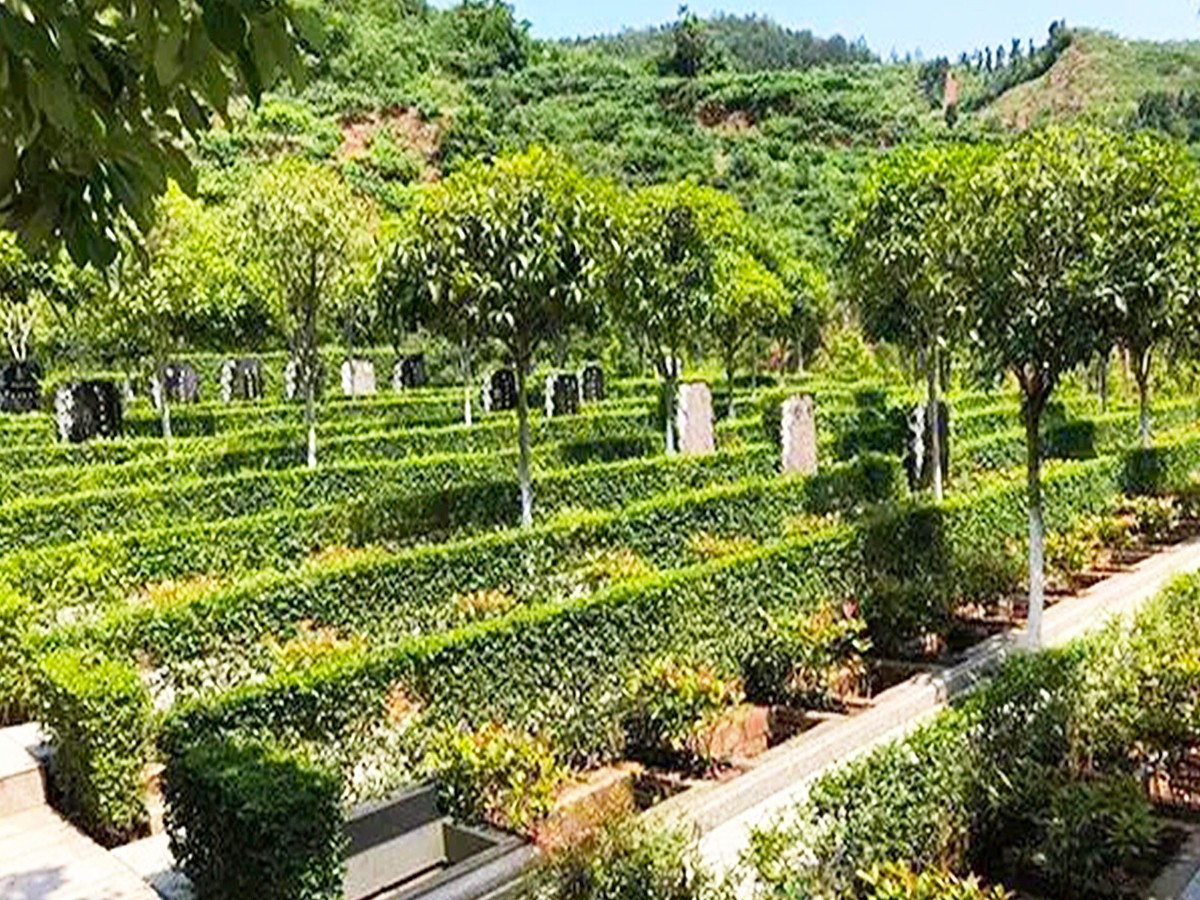 墓区环境